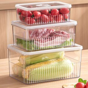 Acrylic Transparent Fridge Organizer