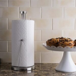 Stainless Steel and Rust-Free Paper Towel Holder