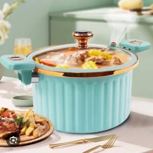 Single Piece Roma 10L Nonstick Mini Pressure Cooker Sufuria