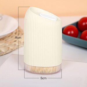 Elegant Toothpick Holder