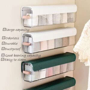 Wall Mounted Undergarment Organizer