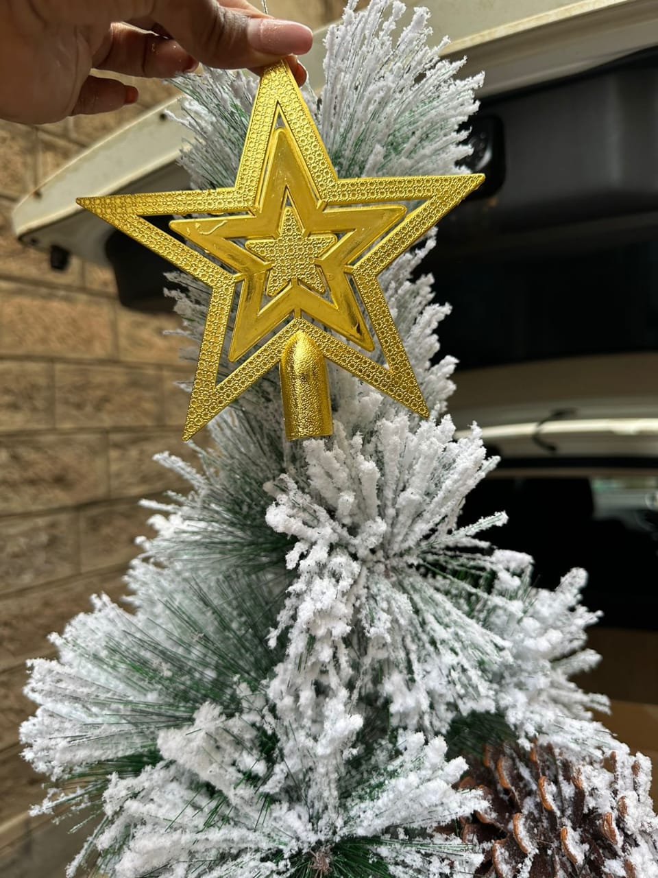 Christmas Star