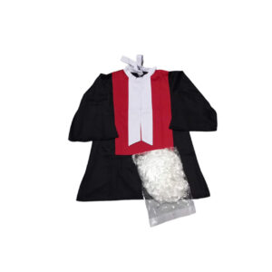 Professional Kids Judge Costume Kids Judge Court Outfit For Career Day